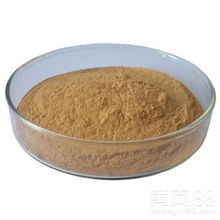 天然香料新寵 蒼耳子提取物的市場(chǎng)魅力與熱銷(xiāo)解析